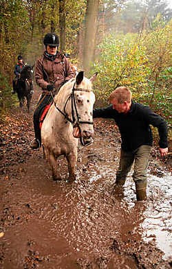 De paarden zakken tot hun knieën weg in de modder. Michel Vanneuville<br>