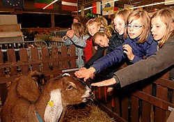 De minigeitjes hadden heel wat succes bij de leerlingen. <br>Michel Vanneuville<br>
