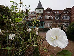 Limburg, vaak mooi in kleine dingen, zoals hier aan het Kasteel van Wurfeld in Maaseik. Mine Dalemans