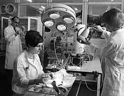 Dierexperimenten bij farmabedrijf Chemie Grünenthal, in de buurt van Aken, in april 1969. Het bedrijf bracht het medicijn thalidomide ('softenon') op de markt, dat als onschuldig slaapmiddel aan zwangere vrouwen werd voorgeschreven maar duizenden misvormd