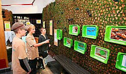 De tentoonstelling over mieren zit goed in elkaar, maar door de maximumfactuur vinden de scholen hun weg niet meer naar het ecocentrum.Louis Verbraeken
