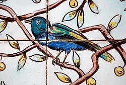 Ook azulejo's behoren tot het decor van sommige tuinen. jv