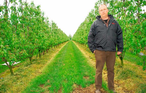 Kris Wouters voert de helft minder fruit uit naar Rusland dan normaal.Egide Lismond