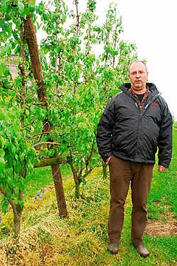 Kris Wouters uit Rummen exporteert nog de helft van zijn fruit naar Rusland.Egide Lismond