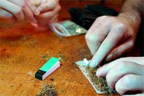 Nederland gaat wietteelt keihard aanpakken