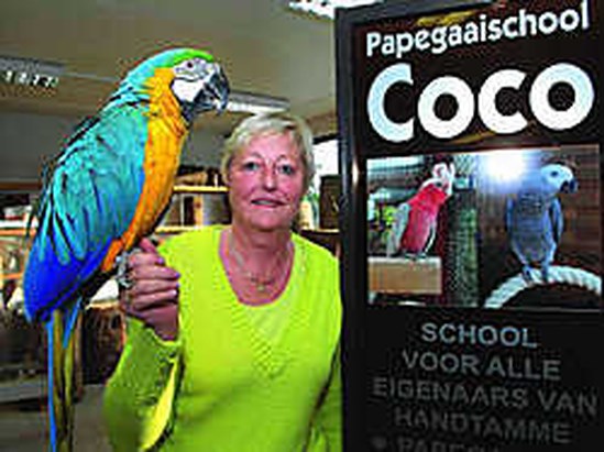 pepermunt auteur Parel Baasjes leren hun vogels vaak slechte manieren' (Oostkamp) | De Standaard  Mobile