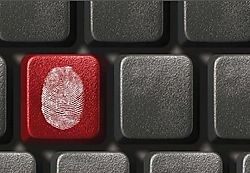 41 procent van software op pc's is illegaal