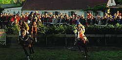 De steeple, waaraan zeven paarden deelnamen, vormde gisteravond de kers op de taart van de rennen. Marc Vergote