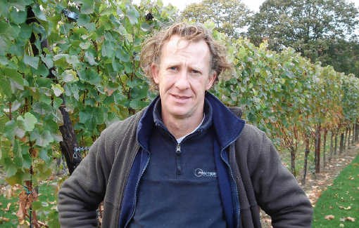 Karel Henckens: 'We hebben hier dezelfde temperatuur als honderd jaar geleden in de Bourgogne.' rs