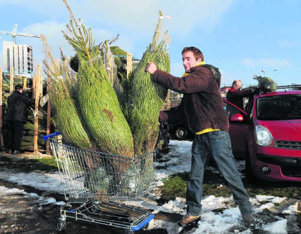 stormloop op gratis kerstbomen bij ikea brussel de standaard mobile