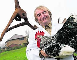 Wilfried Lombary is gespecialiseerd in het keuren van kippen en hanen. Kurt Desplenter
