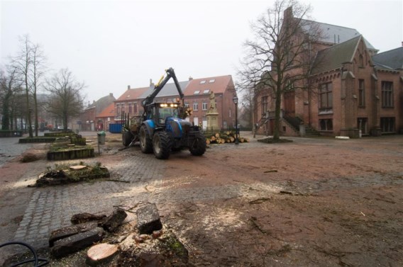 De bomen werden gerooid