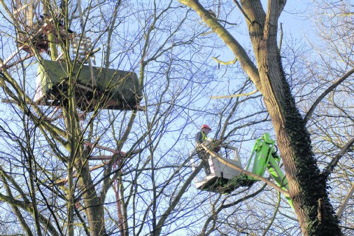 Er werden hoogtewerkers ingeschakeld om de laatste Lappersforters uit het bos te halen.Michel Vanneuville