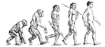 Menselijke evolutie