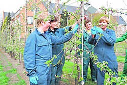 Leerlingen van de Tuinbouwschool plaatsen seksvallen in de plantages. els