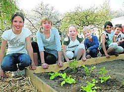 De leerlingen van De Wonderwijzer bij de jonge groenteplantjes in de nieuwe schooltuin. yds