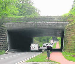 De brug over de drukke Naamsesteenweg in Oud-Heverlee biedt dieren - en ruiters - een veilige oversteekplaats. stl