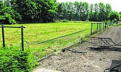 De daders haalden een omheining neer, reden er met de bestelwagen over en vluchtten weg langs een weide.vcp