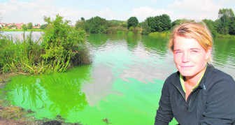 Bie Dierickx van The Outsider, een organisatie die aan de vijver een verblijfscentrum runt, stelde vast dat het water plots grasgroen kleurde. pd