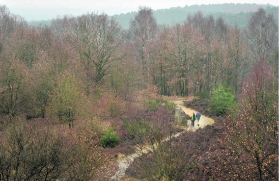 Het nationaal park Hoge Kempen creëerde ongeveer vierhonderd banen, de jaarlijkse inkomsten voor de naburige horeca en handel worden op 20miljoen euro geraamd.Eric de Mildt
