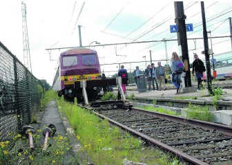Naast de omheining aan spoor1 tiert het onkruid welig.Lily Leys