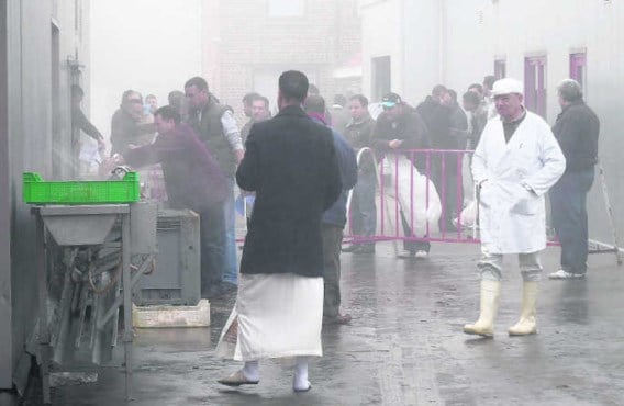 Vele moslims kwamen gisteren naar de kippen- en konijnenslachterij in de Kwadestraat in Desselgem om er hun dier ritueel te laten slachten. wbk