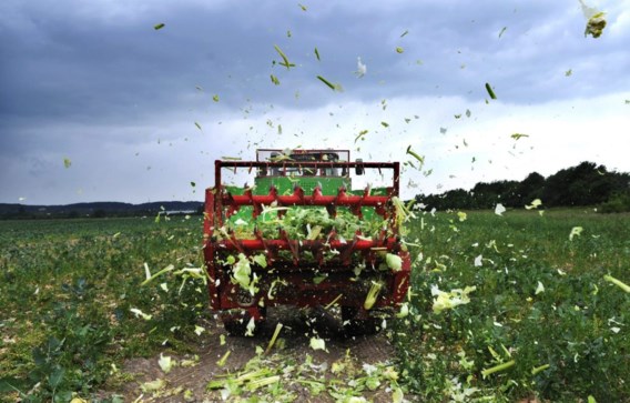 Duitsers kopen minder verse groenten