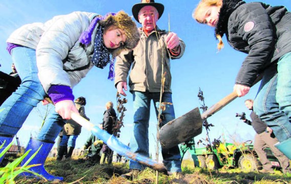 De kinderen van de basisschool Niel-bij-As hebben hun bijdrage geleverd door boompjes te planten. ppn