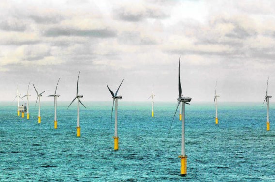 De financiering van windmolenparken op zee wordt steeds moeilijker. Foto: de 55turbines van Belwind die 175.000 gezinnen van energie voorzien.Nicolas Maeterlinck/photo news