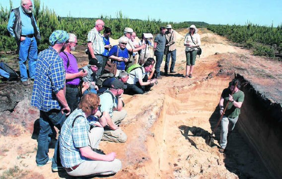 Archeologen bestuderen de bodem in Maatheide die overblijfselen uit de Steentijd herbergt. kvh