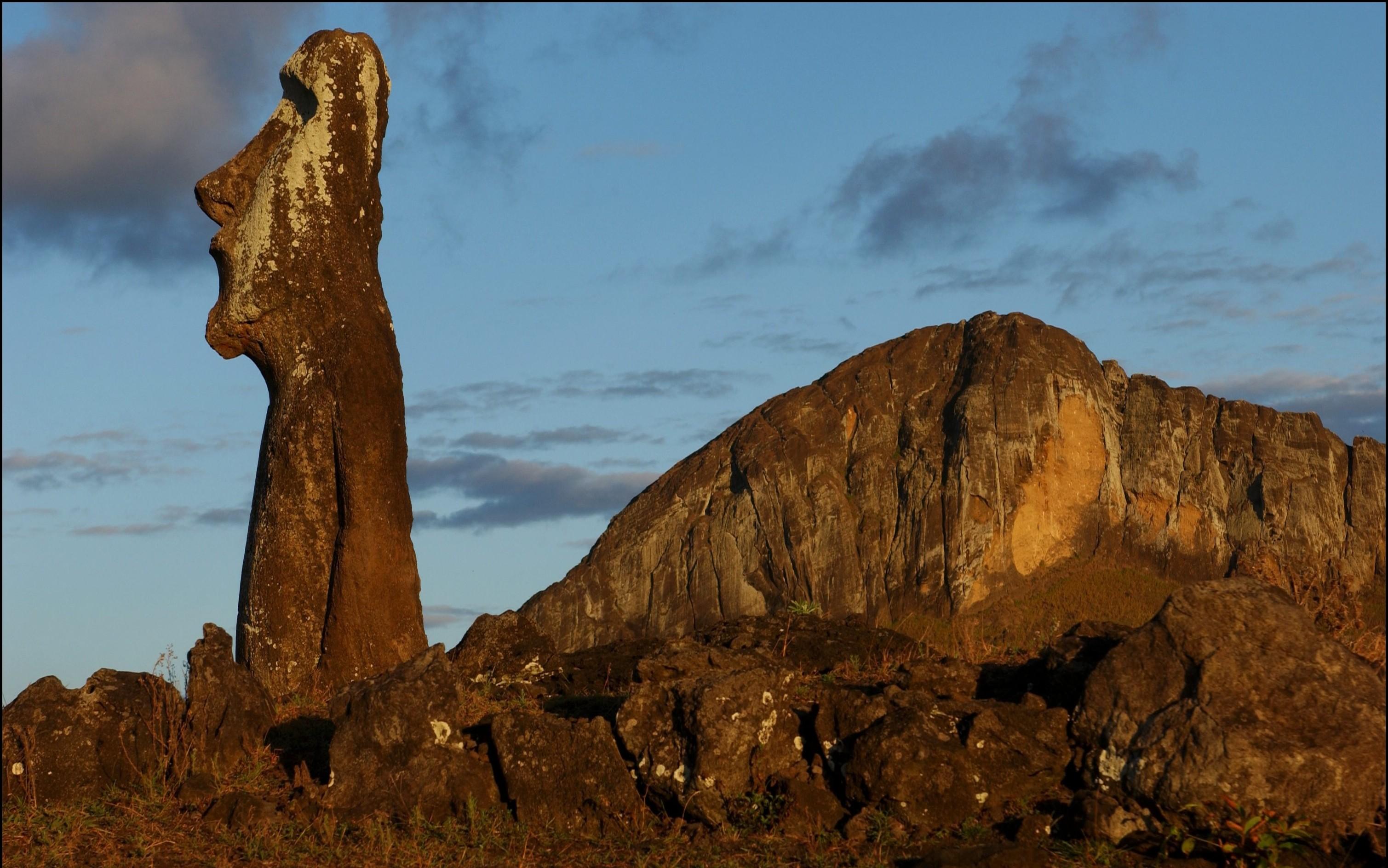 Beelden op Paaseiland waggelden naar hun plek | De Standaard