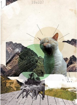 ‘Morphism 1 — Achoo!', Martin Parris.