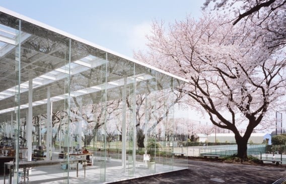 Het Kait in Tokio, volledig opgebouwd in glas zonder ook maar één muur, lijkt pas te eindigen aan de omringende kerselaars.