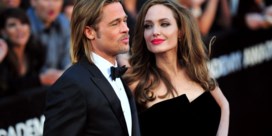 Brad Pitt en Angelina Jolie storten zich op wijn 