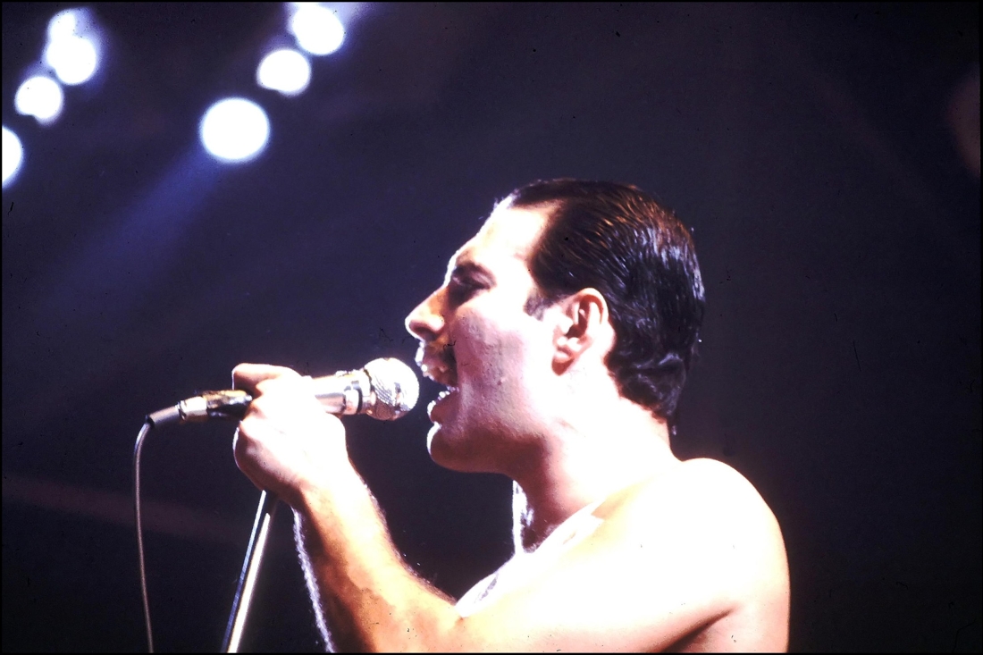 Echte Naam Van Freddie Mercury