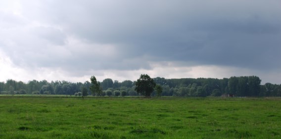 De weilanden van Klein Sinaai vandaag...
