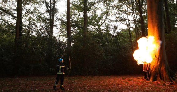 Pyromaan of kunstenaar zou Pieter Van den Bosch worden. Het is dat laatste geworden.