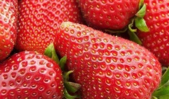 Aardbeien verkleinen kans op hartaanval 