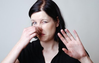 Vinden Dieren Soms Dat Iets Stinkt Of Is Stank Een Menseli De Standaard Mobile