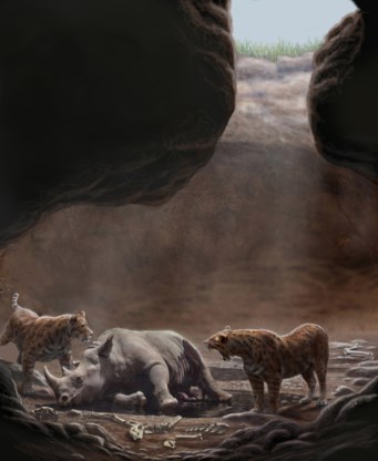 Twee sabeltandkatten smullen van het karkas van een neushoorn bij de Cerro de los Batallones. Spijt komt na de maaltijd.