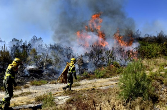 200 mensen geëvacueerd na bosbranden op Mallorca
