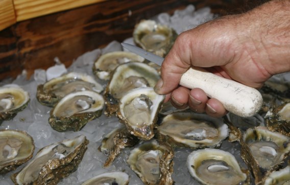 Uitstekende, maar dure Zeeuwse creuse-oesters vanaf september