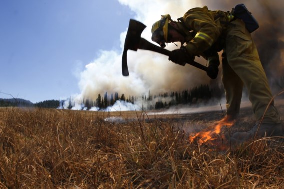 Bosbranden Yosemite bedreigen waterreservoir en stroomvoorziening San Francisco