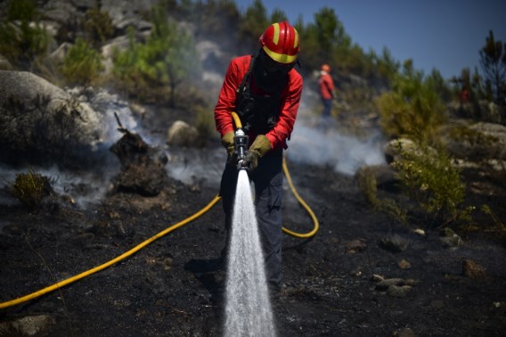 Bosbranden in Portugal breiden verder uit