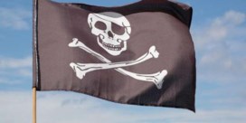 Google wil The Pirate Bay niet verwijderen