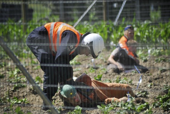 De actievoerders wilden in Wetteren een veld met ggo-aardappelplanten vernielen.