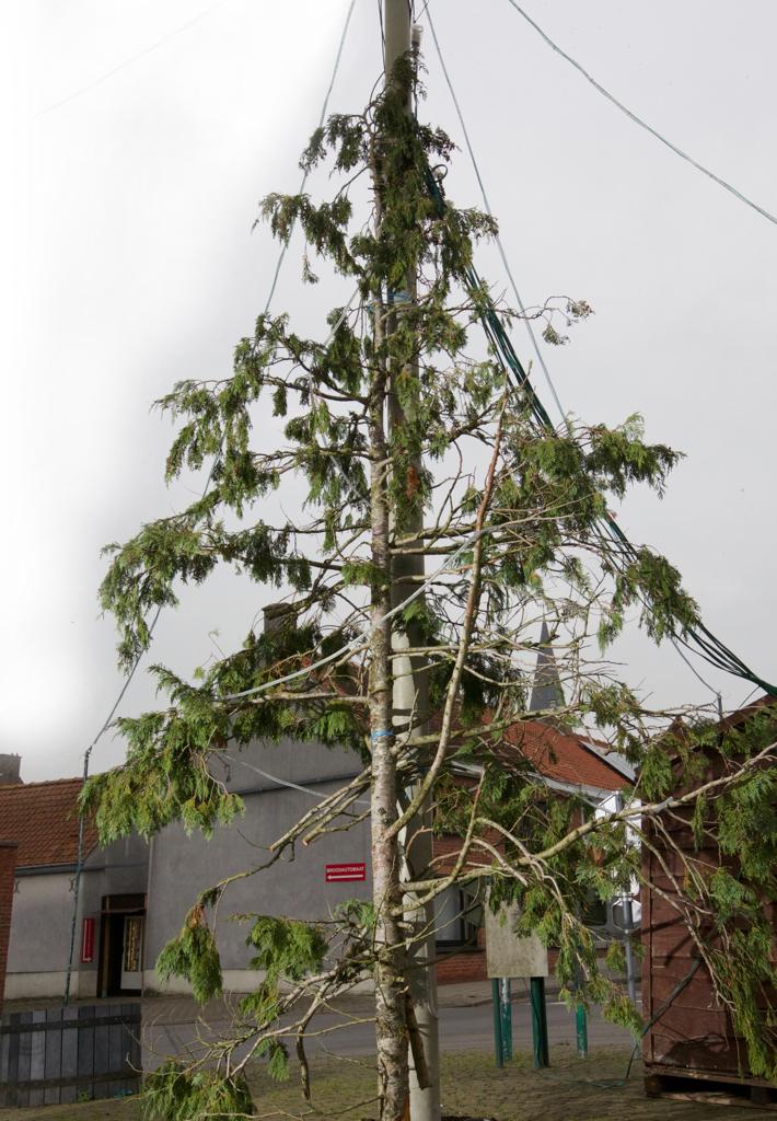 Lelijkste kerstboom staat in Krombeke De Standaard