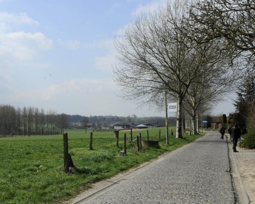 Paddestraat.