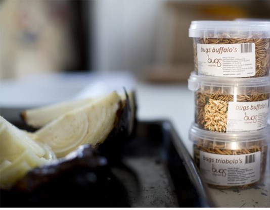 Insecten zijn duur: 7 euro voor een potje van 50 gram.