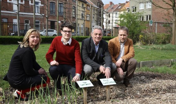De UGent liet op 35 plaatsen in Gent snijsla kweken en testte de sla in een laboratorium.
